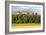 Stirling Castle, Scotland, UK-Duncan Shaw-Framed Photographic Print