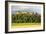 Stirling Castle, Scotland, UK-Duncan Shaw-Framed Photographic Print