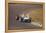 Stirling Moss in a Lotus 18, Dutch Grand Prix, Zandvoort, 1960-null-Framed Premier Image Canvas