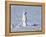 Stoat in winter coat, standing upright in the snow, Germany-Konrad Wothe-Framed Premier Image Canvas