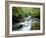 Stock Ghyll Beck, Ambleside, Lake District, Cumbria, England-Kathy Collins-Framed Photographic Print