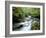 Stock Ghyll Beck, Ambleside, Lake District, Cumbria, England-Kathy Collins-Framed Photographic Print