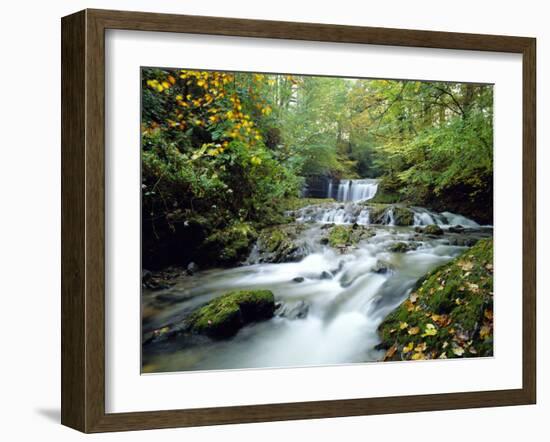 Stock Ghyll Beck, Ambleside, Lake District, Cumbria, England-Kathy Collins-Framed Photographic Print