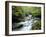 Stock Ghyll Beck, Ambleside, Lake District, Cumbria, England-Kathy Collins-Framed Photographic Print