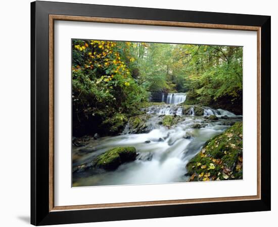 Stock Ghyll Beck, Ambleside, Lake District, Cumbria, England-Kathy Collins-Framed Photographic Print