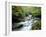 Stock Ghyll Beck, Ambleside, Lake District, Cumbria, England-Kathy Collins-Framed Photographic Print