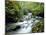 Stock Ghyll Beck, Ambleside, Lake District, Cumbria, England-Kathy Collins-Mounted Photographic Print