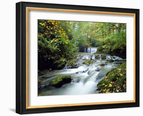 Stock Ghyll Beck, Ambleside, Lake District, Cumbria, England-Kathy Collins-Framed Photographic Print