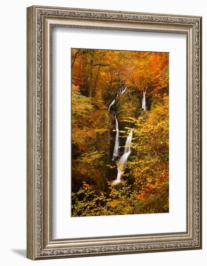 Stock Ghyll Force Waterfall in Autumn, Lake District National Park, Cumbria, England, UK-Ian Egner-Framed Photographic Print
