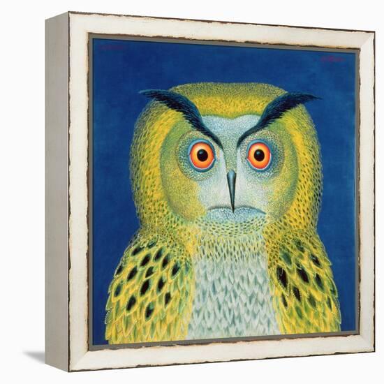 Stock Owl, 1999-Tamas Galambos-Framed Premier Image Canvas