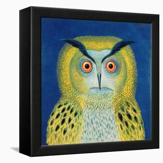 Stock Owl, 1999-Tamas Galambos-Framed Premier Image Canvas