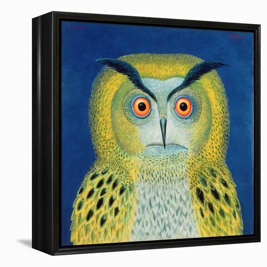 Stock Owl, 1999-Tamas Galambos-Framed Premier Image Canvas