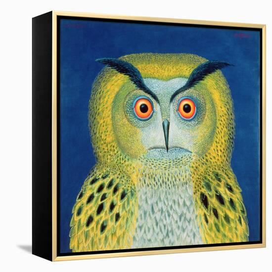 Stock Owl, 1999-Tamas Galambos-Framed Premier Image Canvas