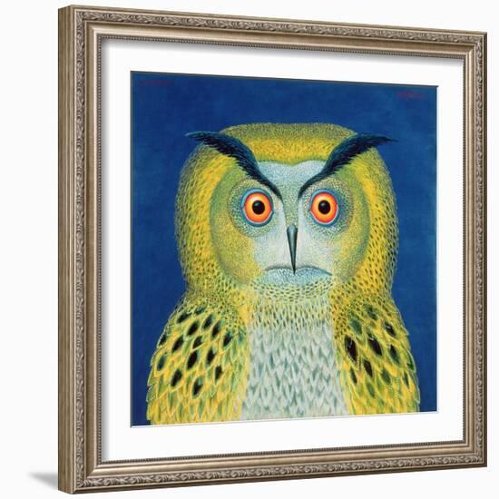 Stock Owl, 1999-Tamas Galambos-Framed Giclee Print