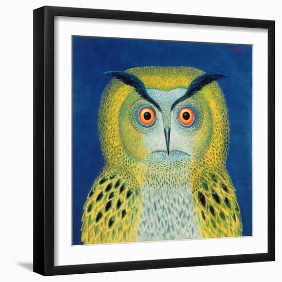 Stock Owl, 1999-Tamas Galambos-Framed Giclee Print