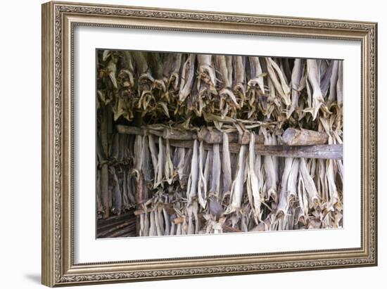 Stockfish, Norway-Dr. Juerg Alean-Framed Photographic Print