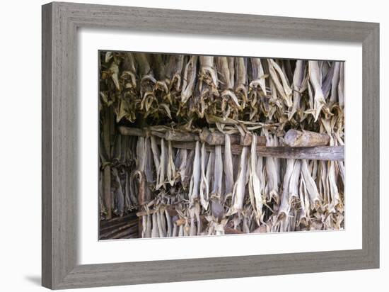 Stockfish, Norway-Dr. Juerg Alean-Framed Photographic Print