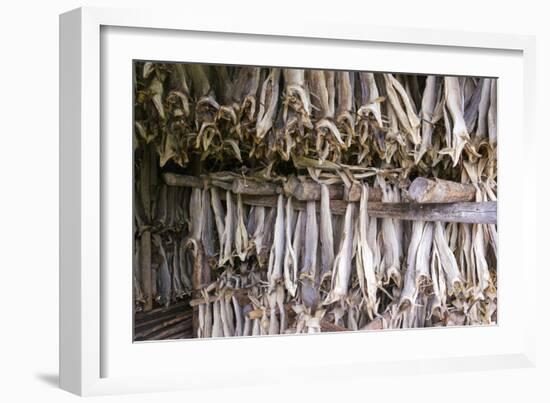Stockfish, Norway-Dr. Juerg Alean-Framed Photographic Print