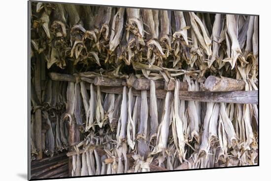 Stockfish, Norway-Dr. Juerg Alean-Mounted Photographic Print