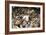 Stockfish, Norway-Dr. Juerg Alean-Framed Photographic Print