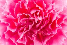 Close up Pink Flower Background-Stockforlife-Framed Photographic Print