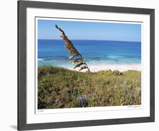 Stocking Island Sea Oat-John Gynell-Framed Giclee Print