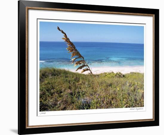 Stocking Island Sea Oat-John Gynell-Framed Giclee Print