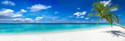 Tropical Paradise Beach with White Sand and Coco Palms Travel Tourism Wide Panorama Background Conc-stockphoto-graf-Laminated Photographic Print