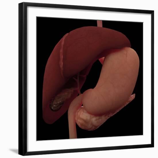 Art Print, , large