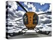 Stretched Canvas Print
