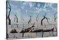 Stretched Canvas Print