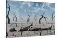 Stretched Canvas Print