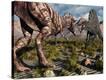 Stretched Canvas Print