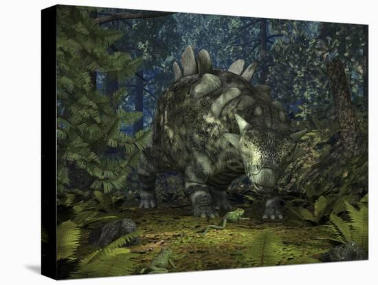 Stretched Canvas Print, , large