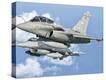 Stretched Canvas Print