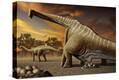 Stretched Canvas Print