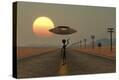 Stretched Canvas Print