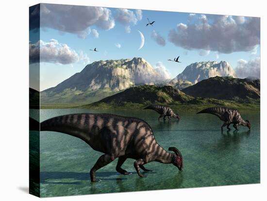 Stretched Canvas Print, , large