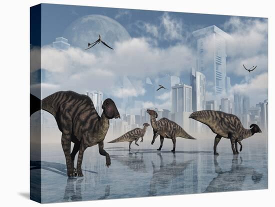 Stretched Canvas Print, , large