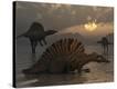 Stretched Canvas Print