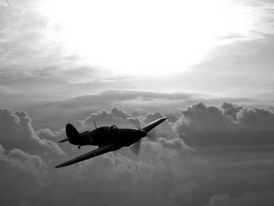 Photographic Print, , large