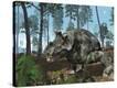Stretched Canvas Print