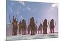 Premium Giclee Print