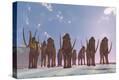Stretched Canvas Print