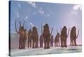 Stretched Canvas Print