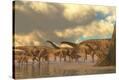 Stretched Canvas Print