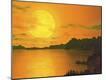 Photographic Print