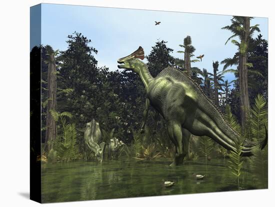 Stretched Canvas Print, , large