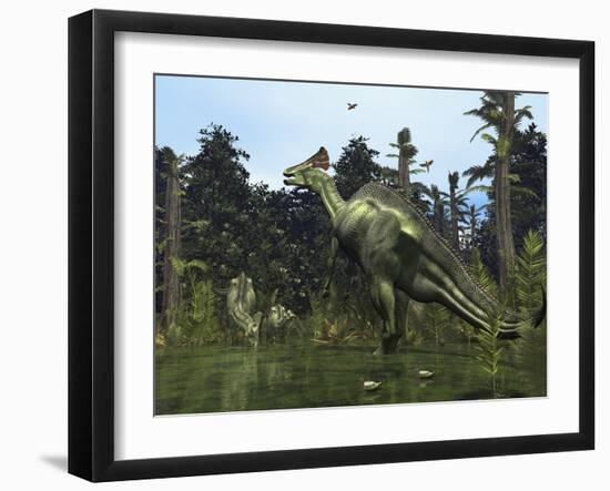 Photographic Print, , large