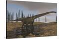 Stretched Canvas Print